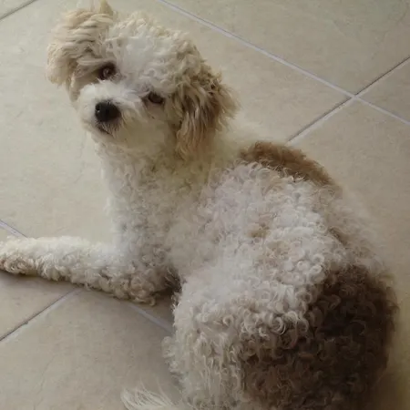 Szálloda Hadrian Kaş